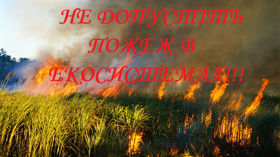 Не допустіть пожежі в екосистемах!